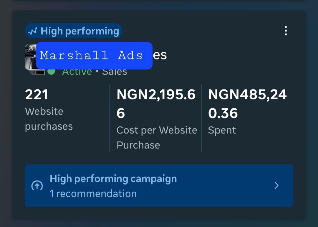 ₦11M from ₦487K spend